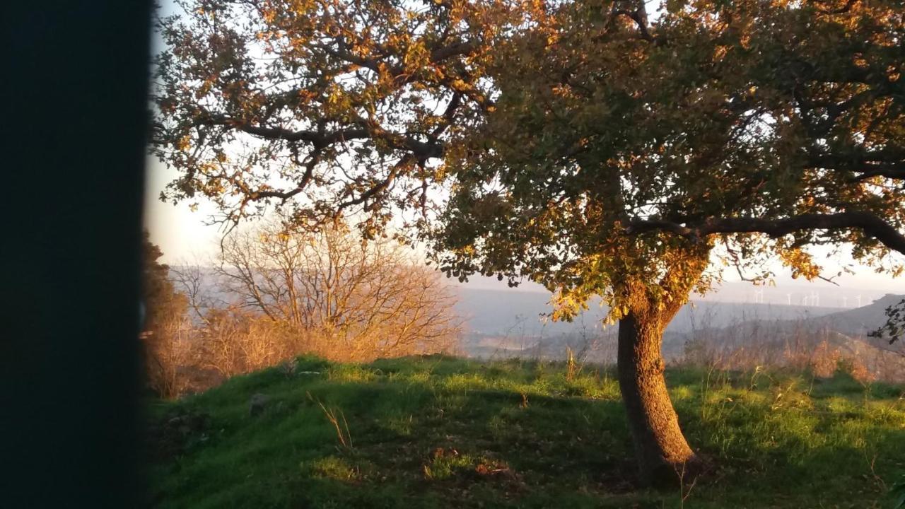 Su Montiju De Sa Falada Manna Cheremule Exterior foto
